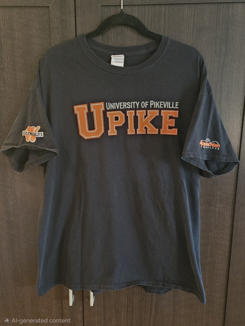 Vintage XL University Of Pikeville KY T Shirt - UPIKE Z 107.5 Walters